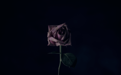 A Eulogy to Tracy Qutero, rest in peace